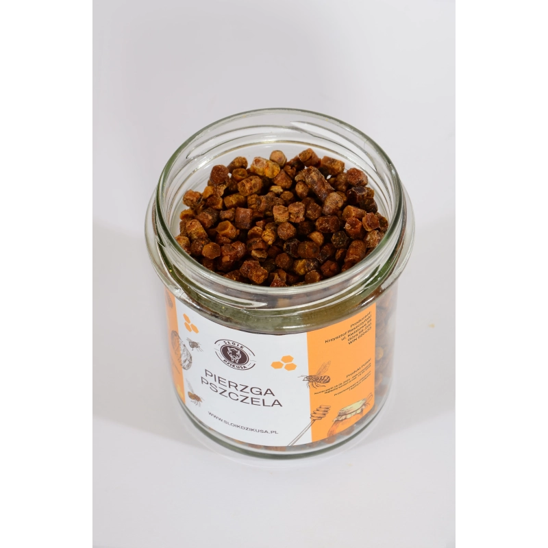 Pierzga Pszczela 170g | Chlebek Pszczeli | Słoik Dzikusa