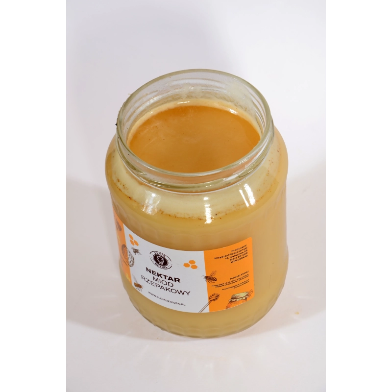 Polski Miód Rzepakowy Skrystalizowany | Słoik Dzikusa